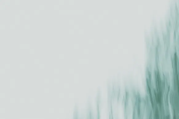 Casino Wild Tornado Stuðningur